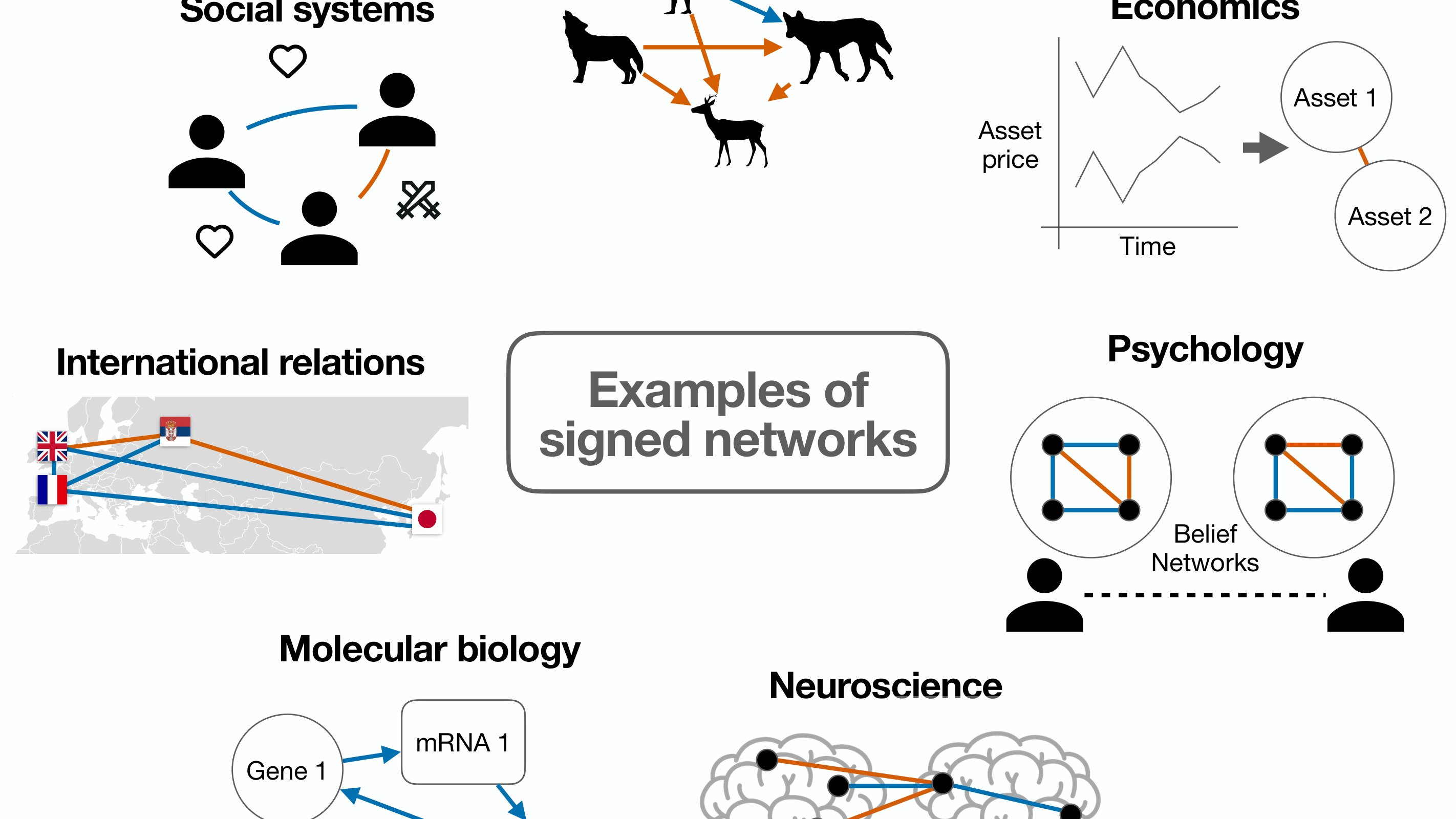 signed networks review
