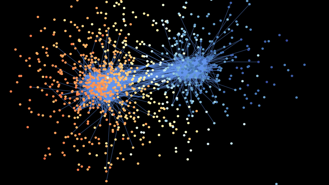 polarization in signed networks