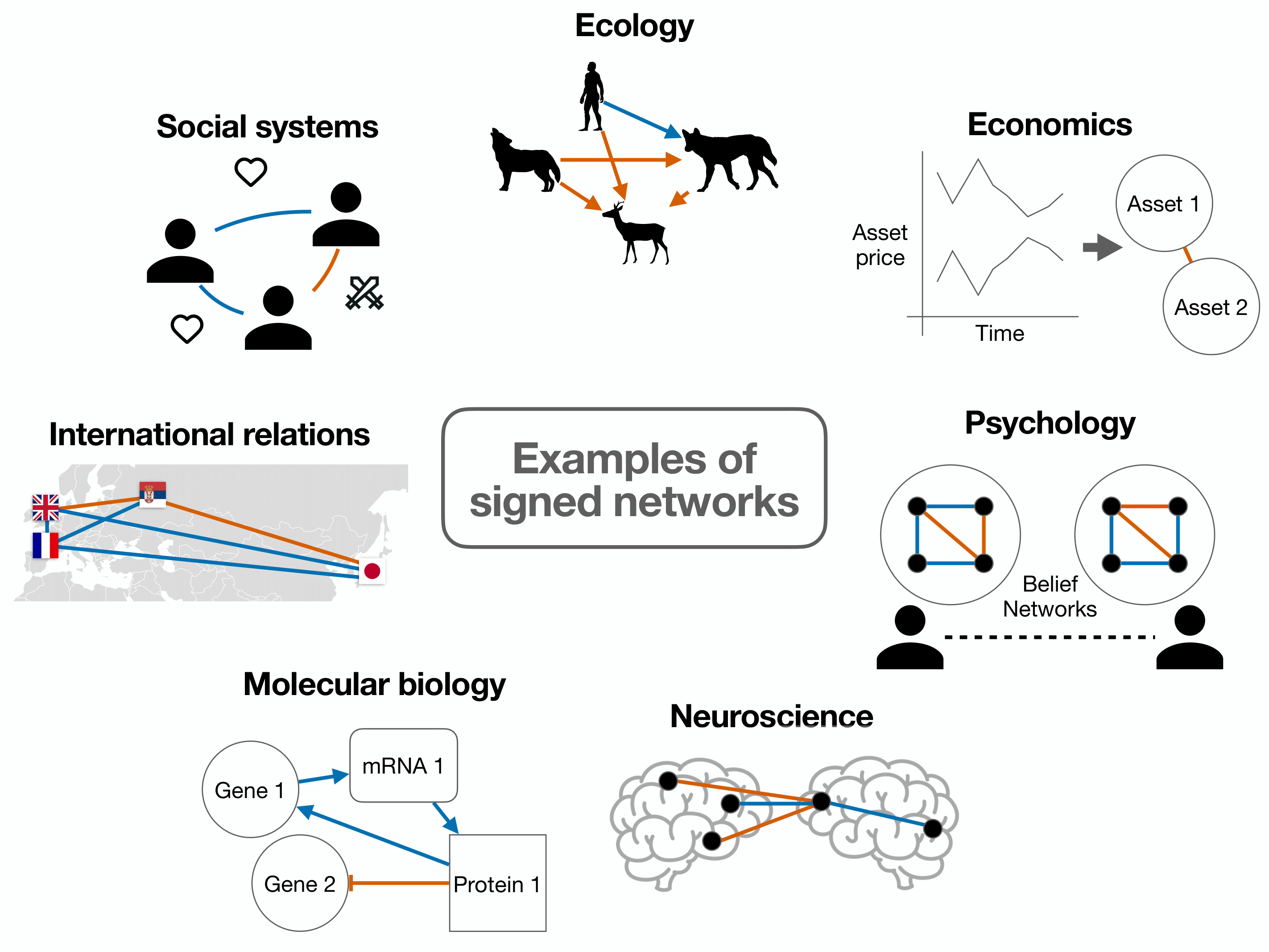 signed networks review